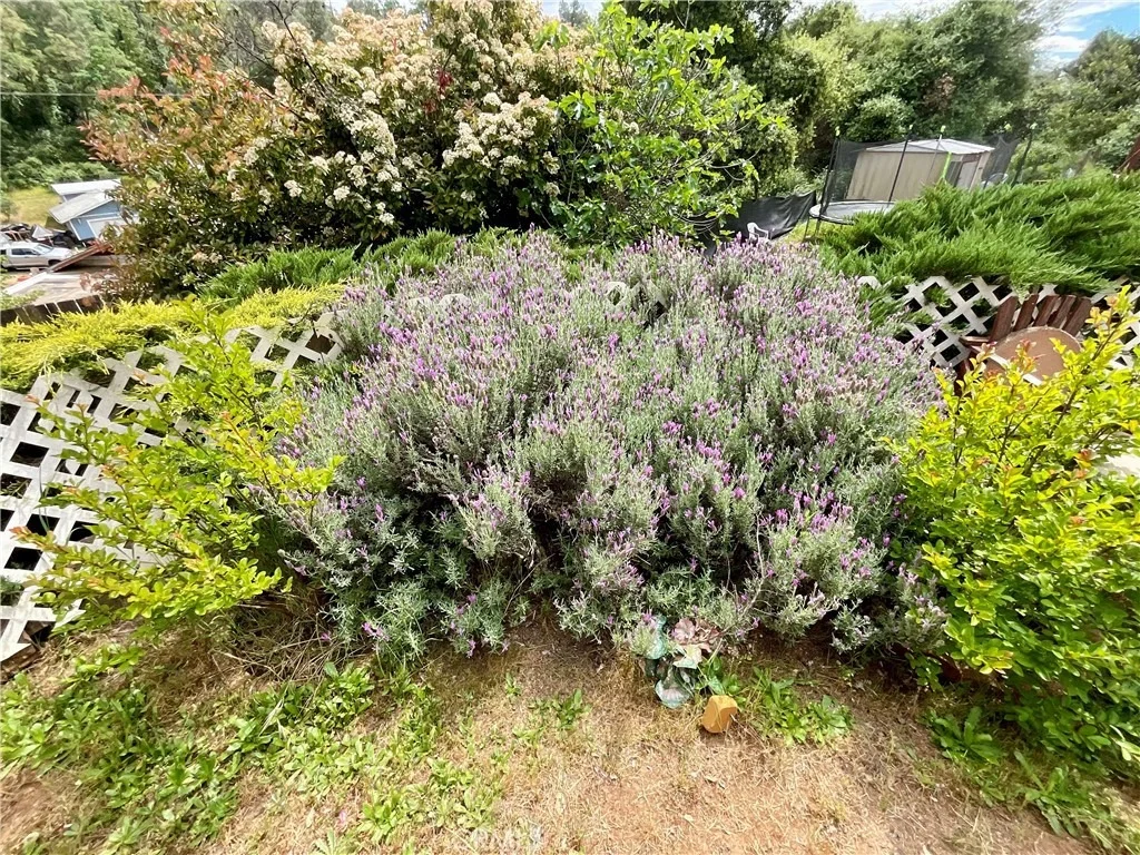 Photo of 7282 Marin Street