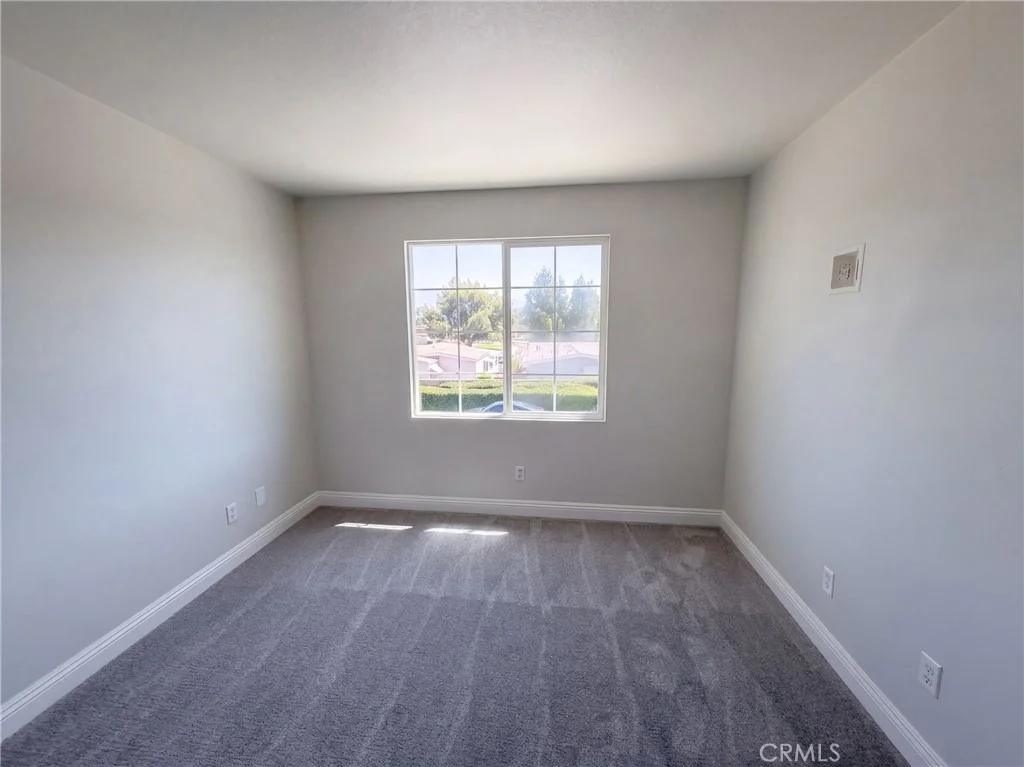Photo of 1265 Lavender