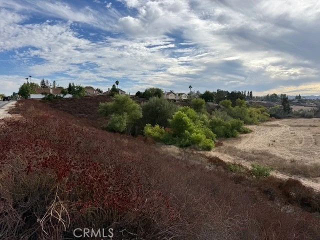 Photo of 40105 Calle Medusa