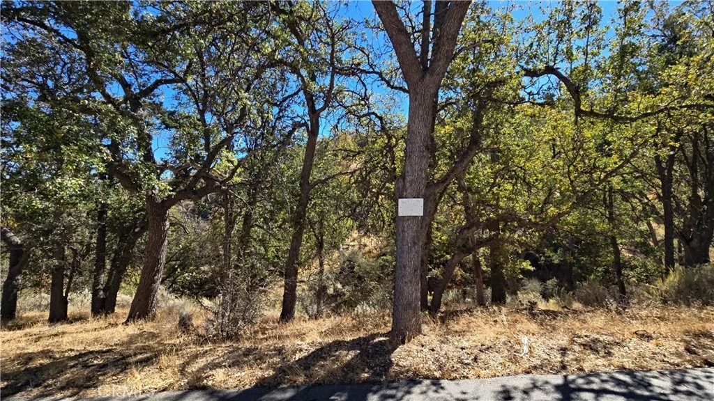 Photo of 0 Saint Moritz Drive