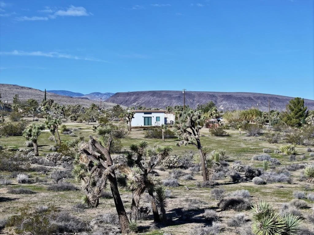 Photo of 4039 Greasewood Lane