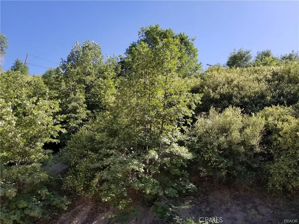 Photo of 0 Elder Drive