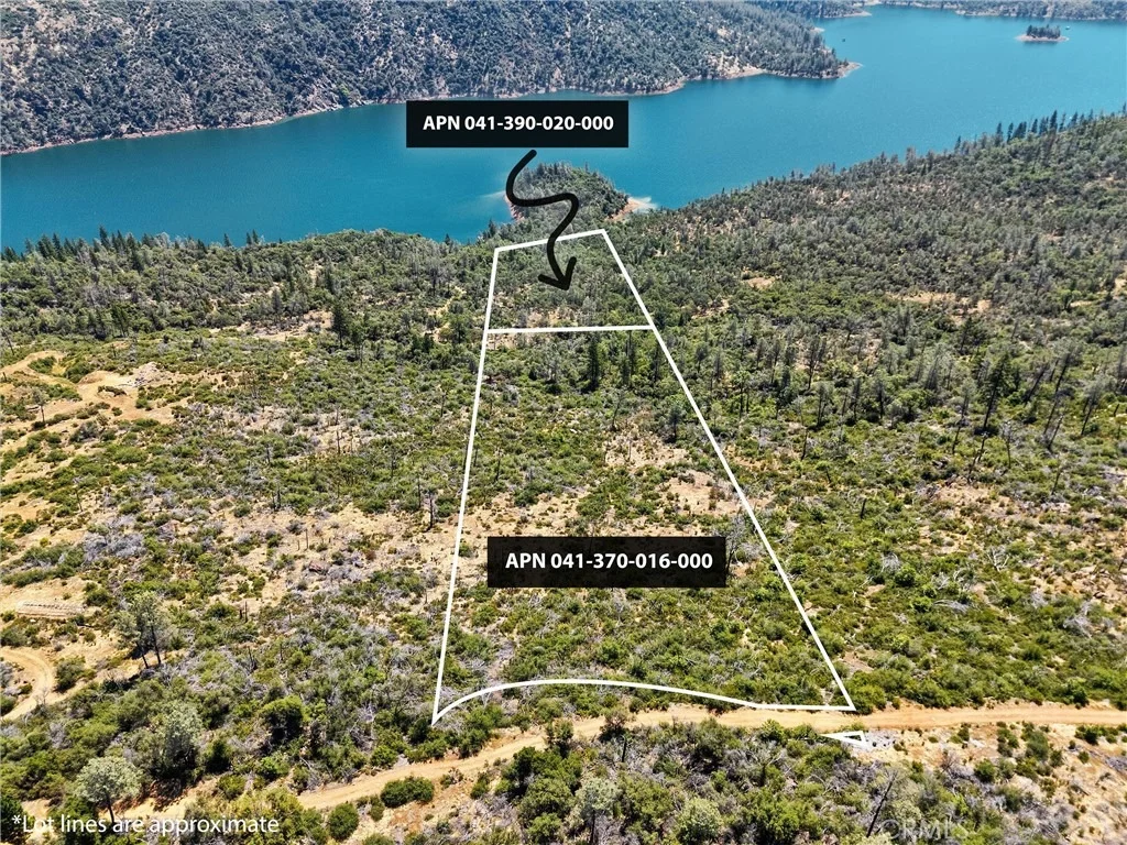 Photo of 0 Condor
