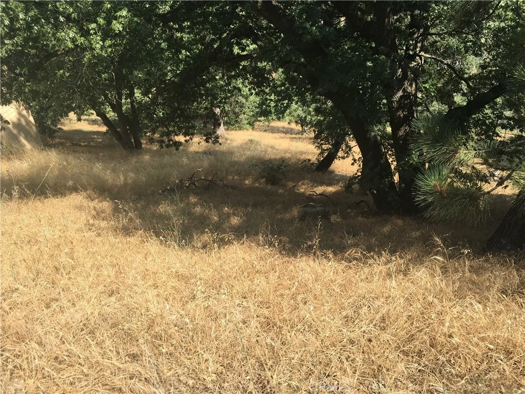 Photo of 30481 Live Oak
