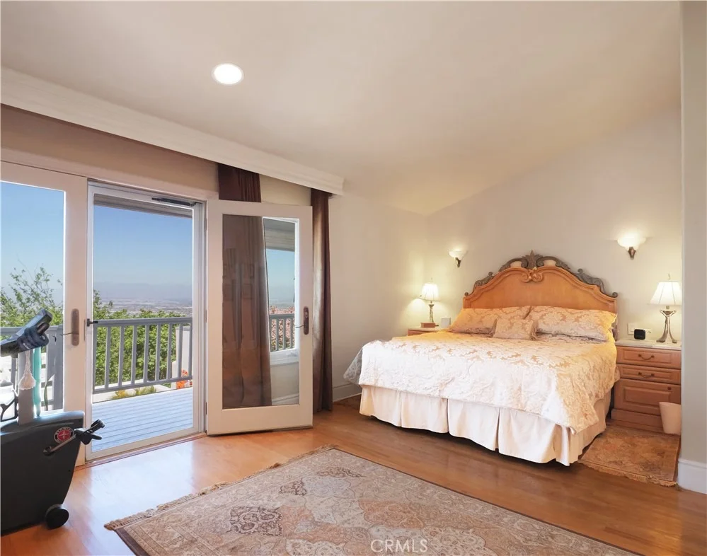 Photo of 49 Saddleback