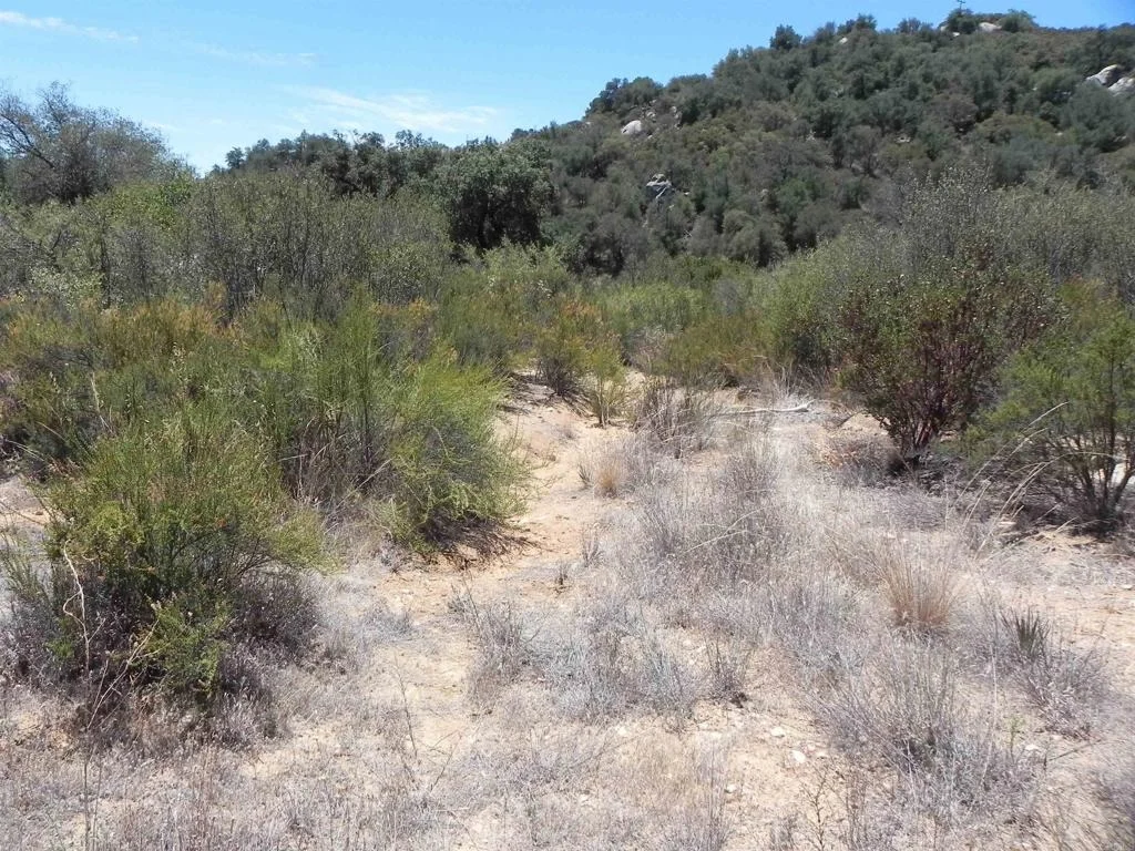 Photo of 9779 Deer Valley Trail