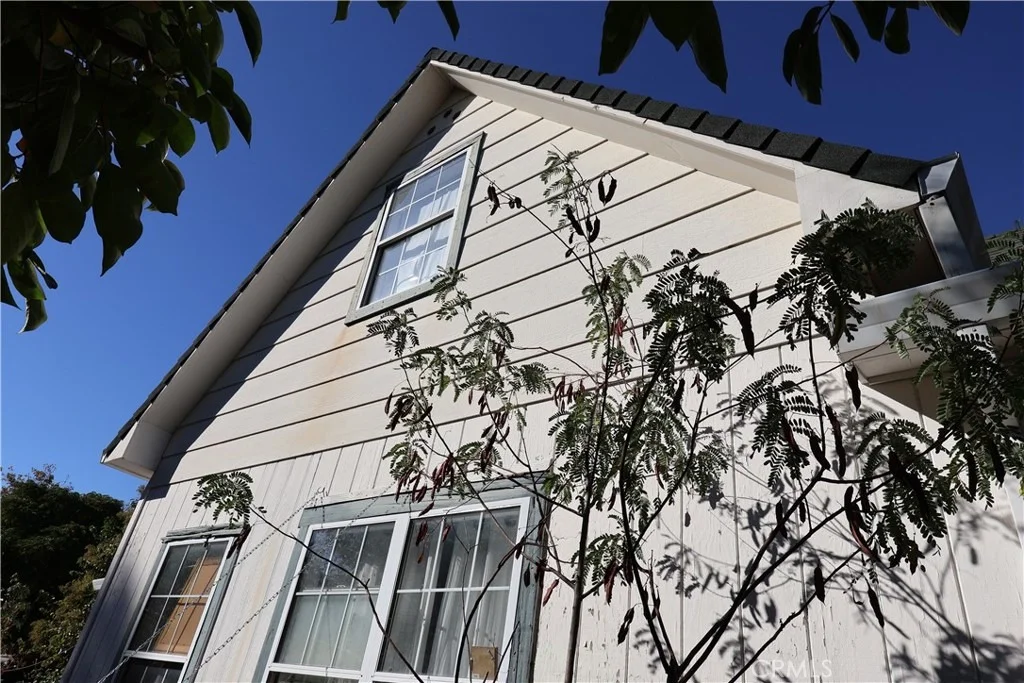 Photo of 1216 Pear