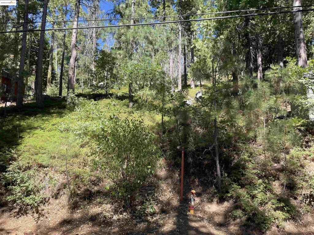 Photo of 25476 Rebekah Rd