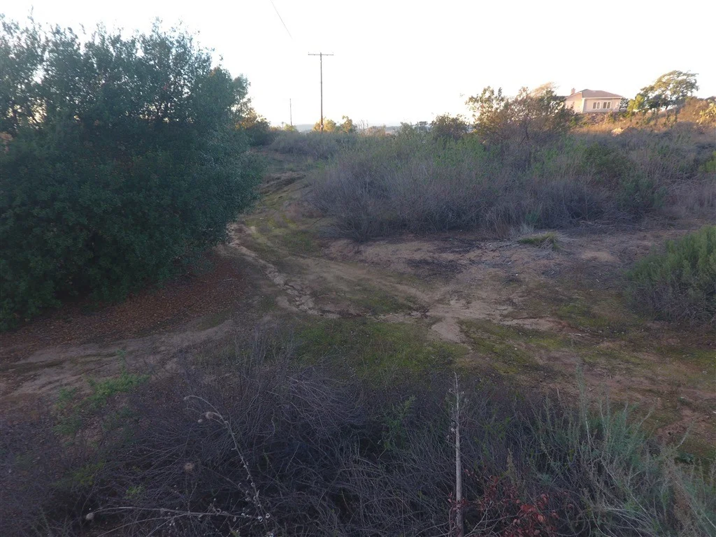 Photo of 0 Rainbow Crest