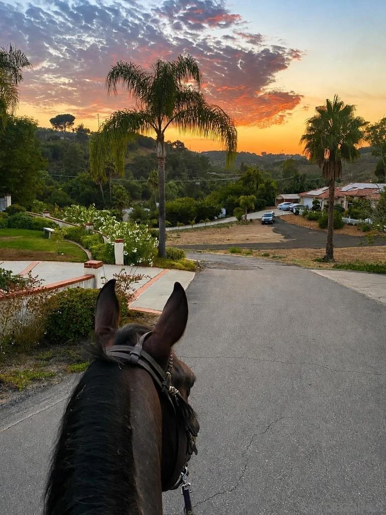 Photo of 4515 Baja Mission Road