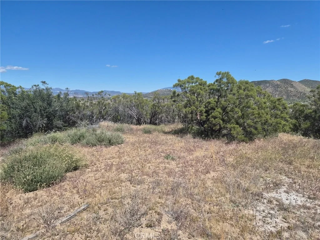 Photo of 55355 Tule Peak Road