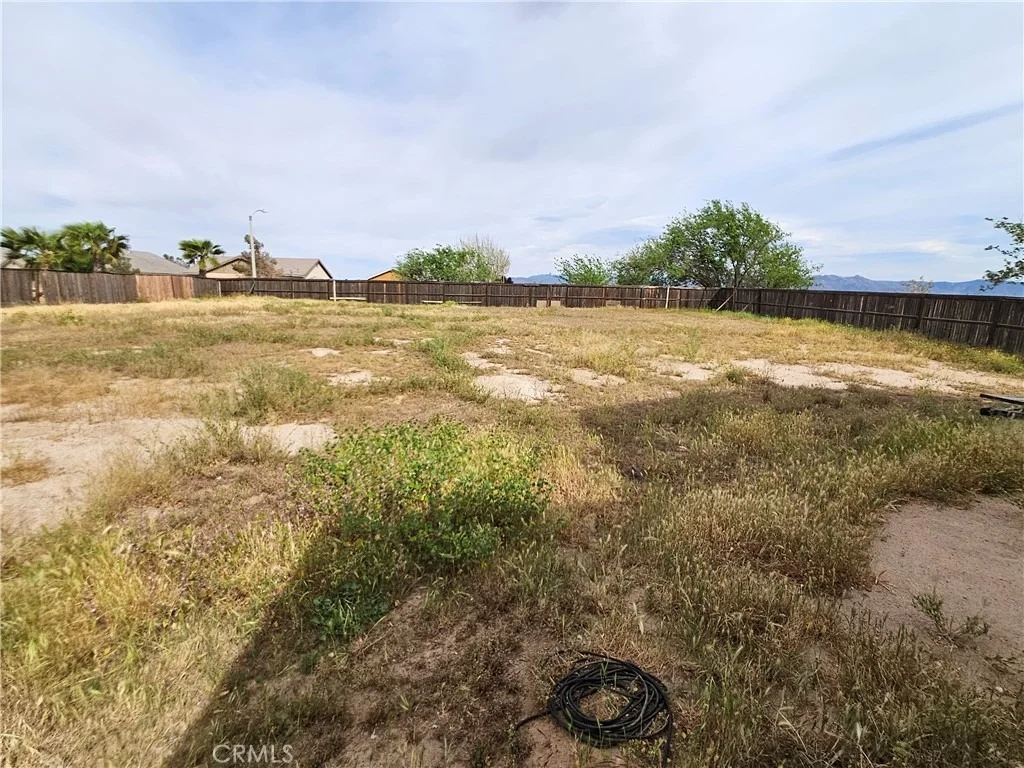 Photo of 13532 sage