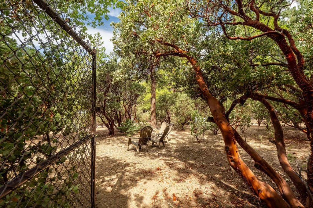 Photo of 55370 Silver Tip Lane