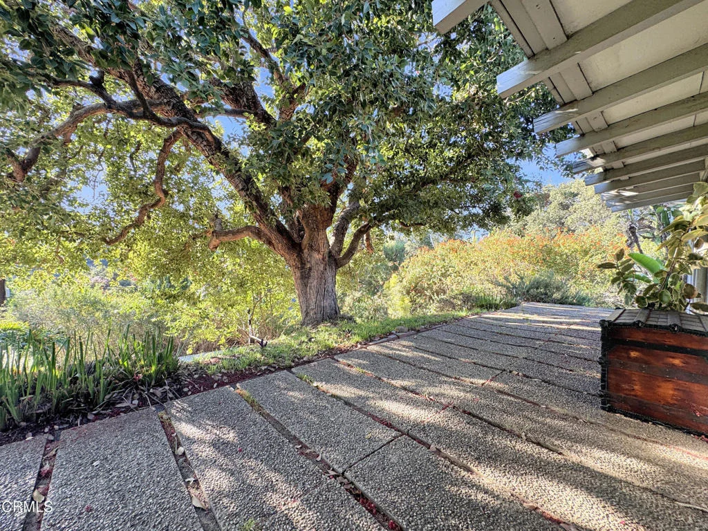 Photo of 925 Monarch Drive