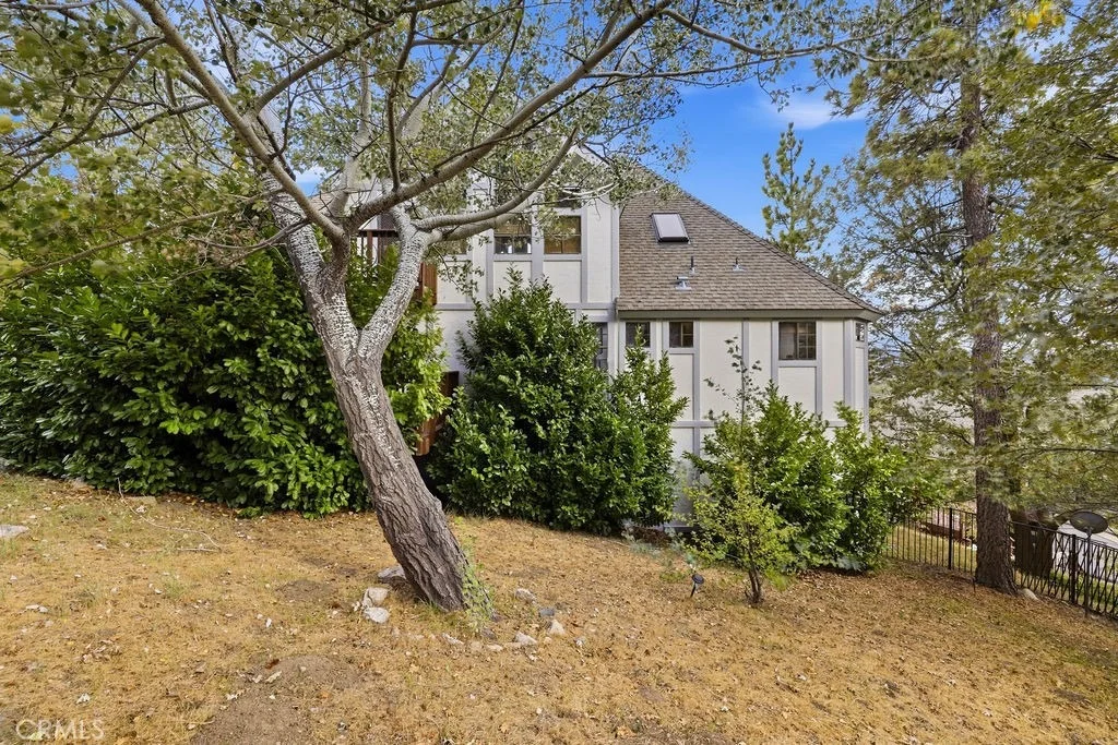 Photo of 1216 Kodiak