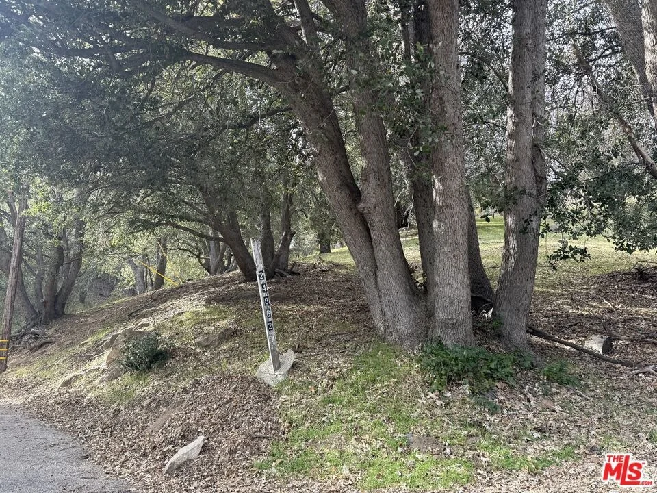 Photo of 24862 Edelweiss Drive