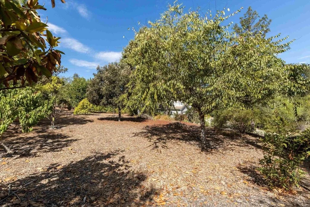 Photo of 13872 Misty Oak Road