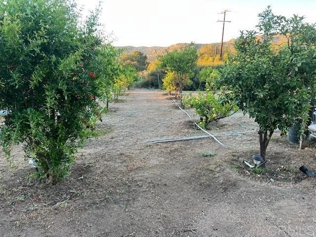 Photo of 2526 Forest Park Rd