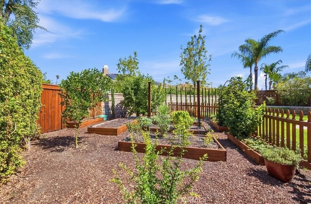 Photo of 1133 Fernleaf