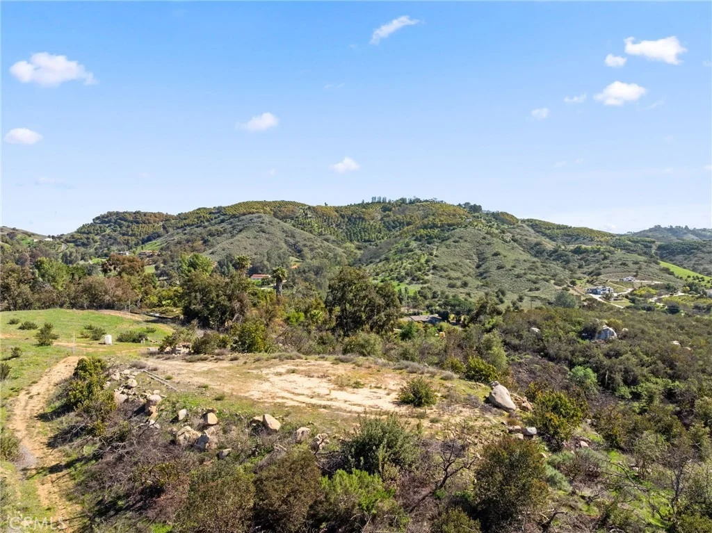 Photo of 2 Las Palmeras