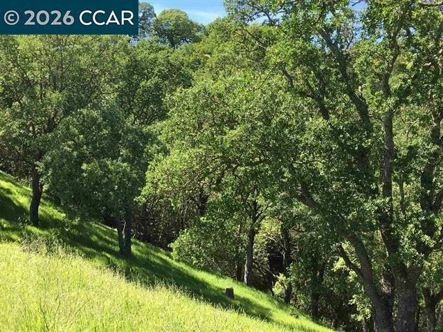 Photo of 283 Castle Hill Ranch Rd