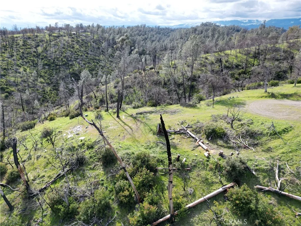 Photo of 7074 Sugar Pine Court