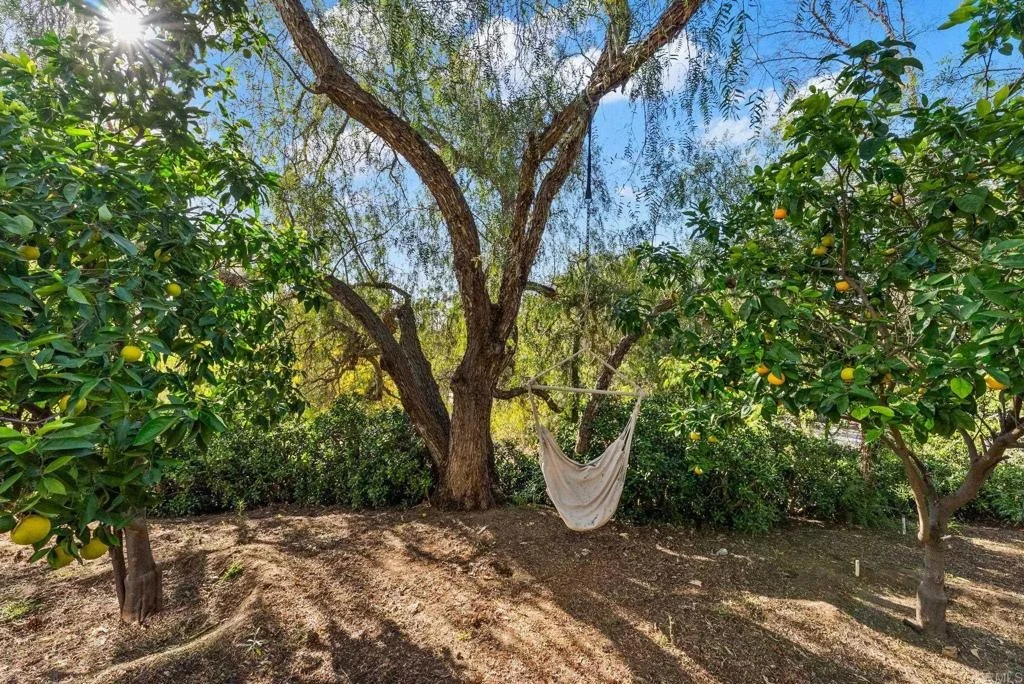 Photo of 1782 Alta Vista Drive