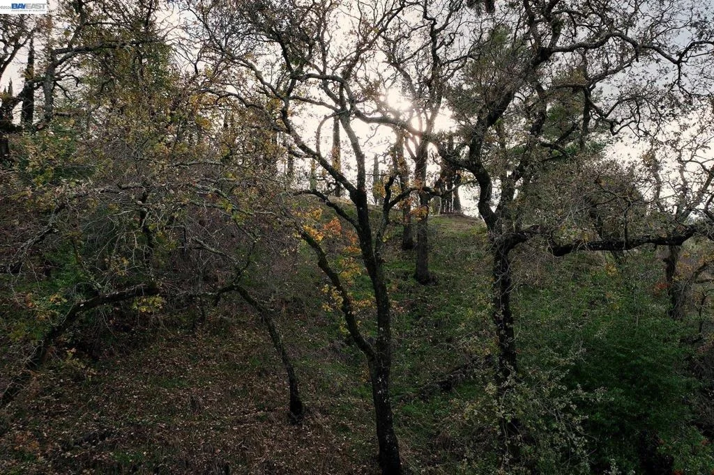 Photo of 247 Sequoia Ave