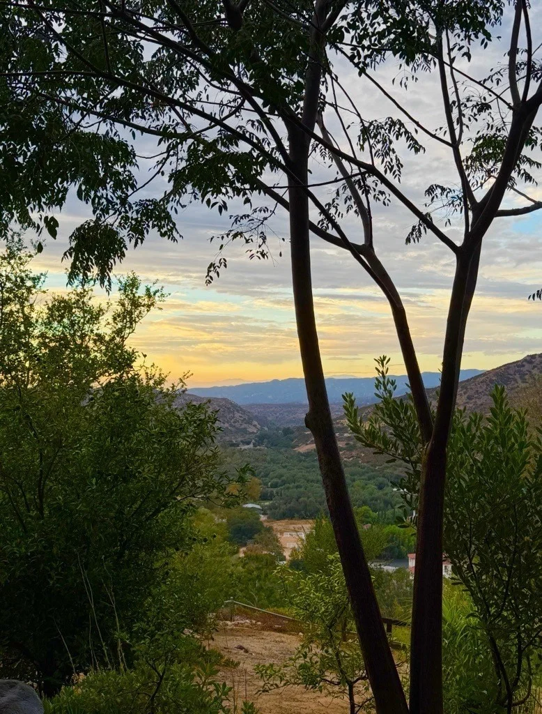 Photo of 28151 Modjeska Grade Road