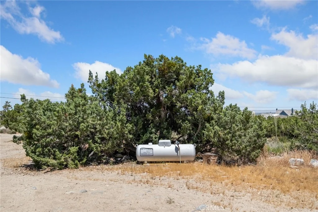 Photo of 565 Juniper