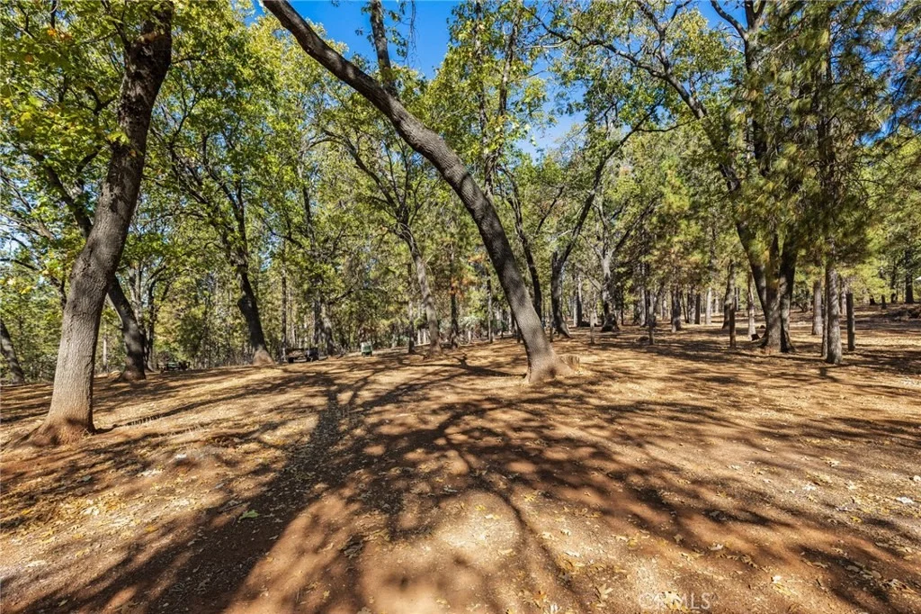 Photo of 4602 Wendlis Road