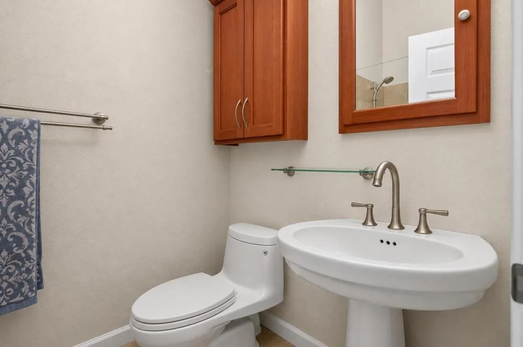 Photo of 37 Silver Birch