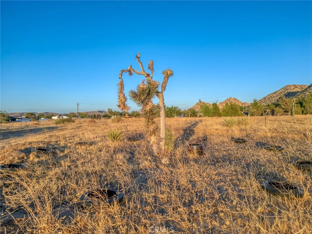 Photo of 5430 Red Ryder Road