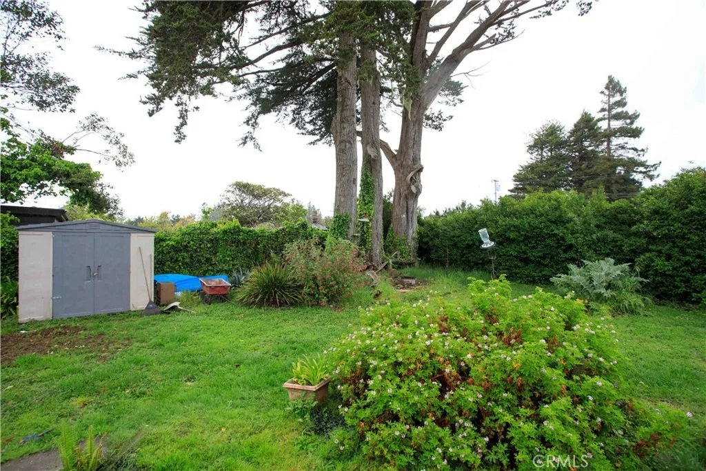 Photo of 1665 Nedra