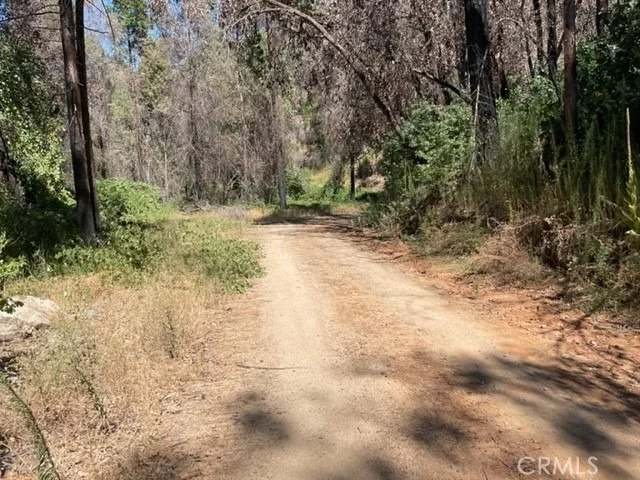 Photo of 27 Broken Springs