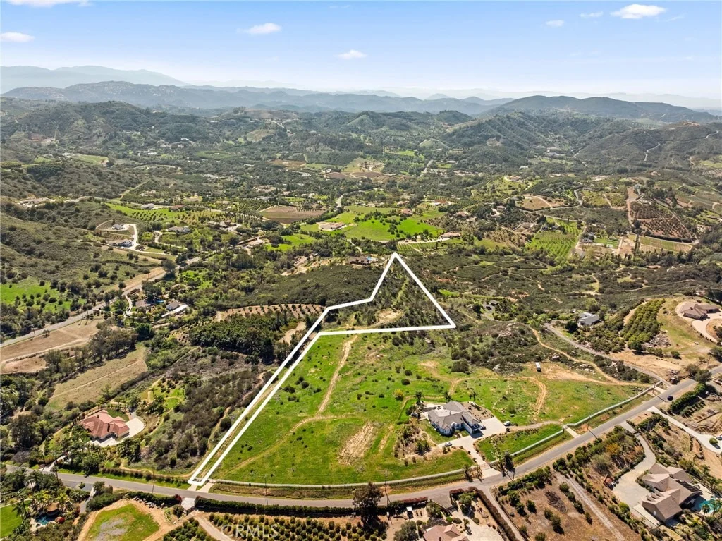 Photo of 2 Las Palmeras