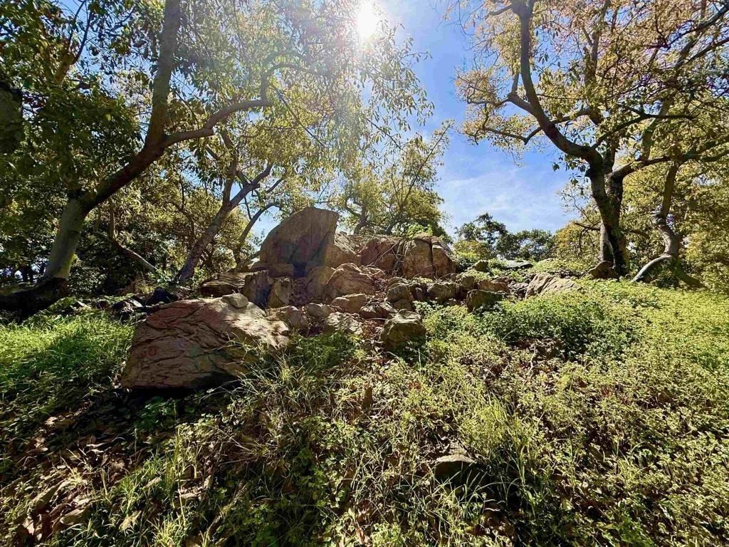 Photo of 3160 Slivkoff Drive