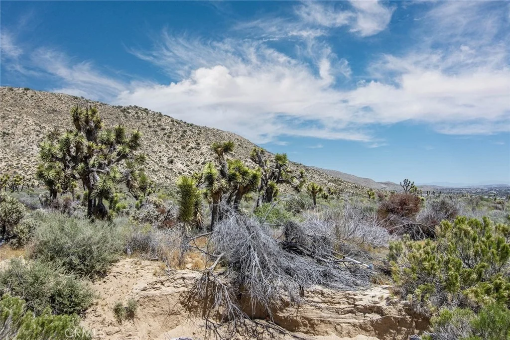 Photo of 54129 Pinon Drive