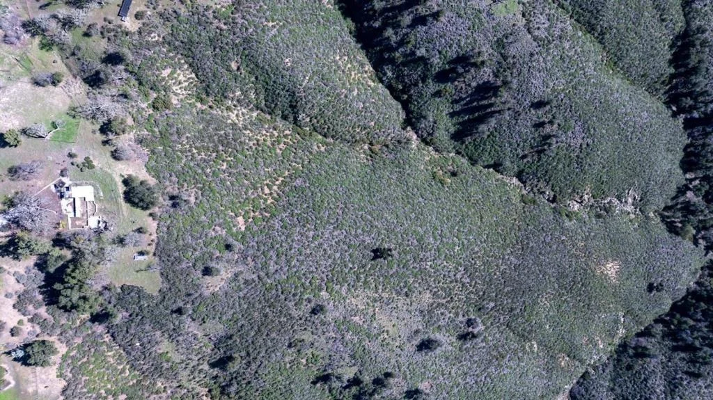 Photo of 34994 Sky Ranch Road