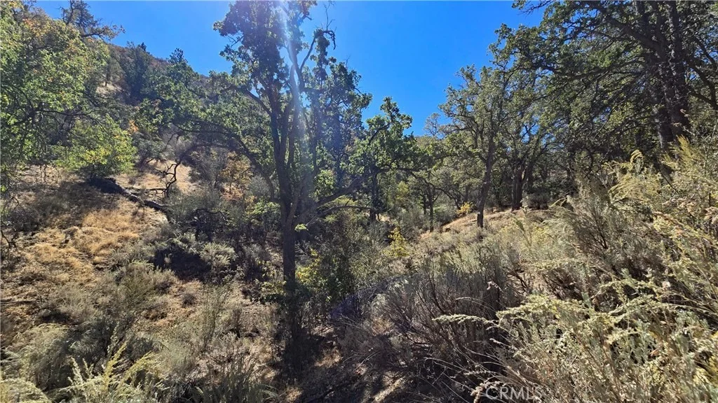 Photo of 0 Saint Moritz Drive