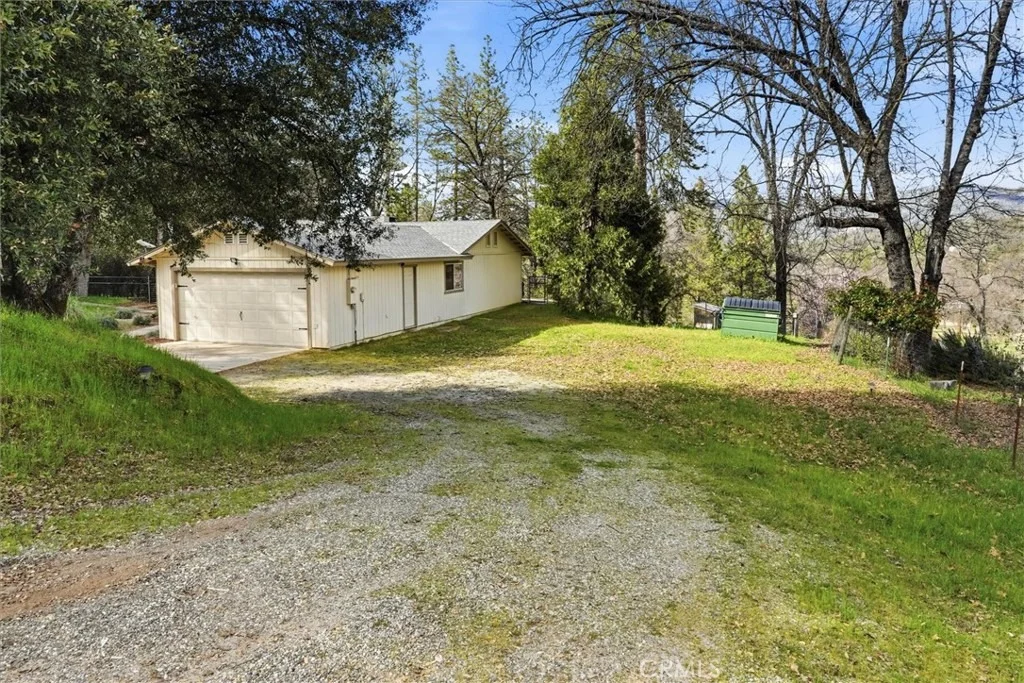 Photo of 50047 Hangtree