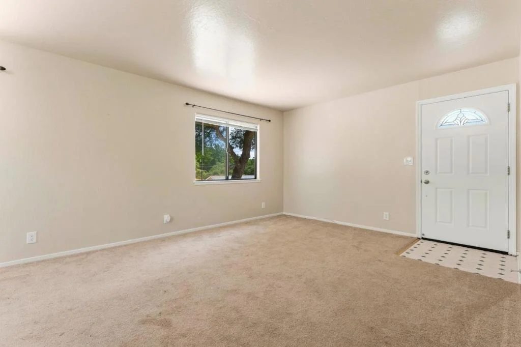Photo of 76857695 Pine Tree