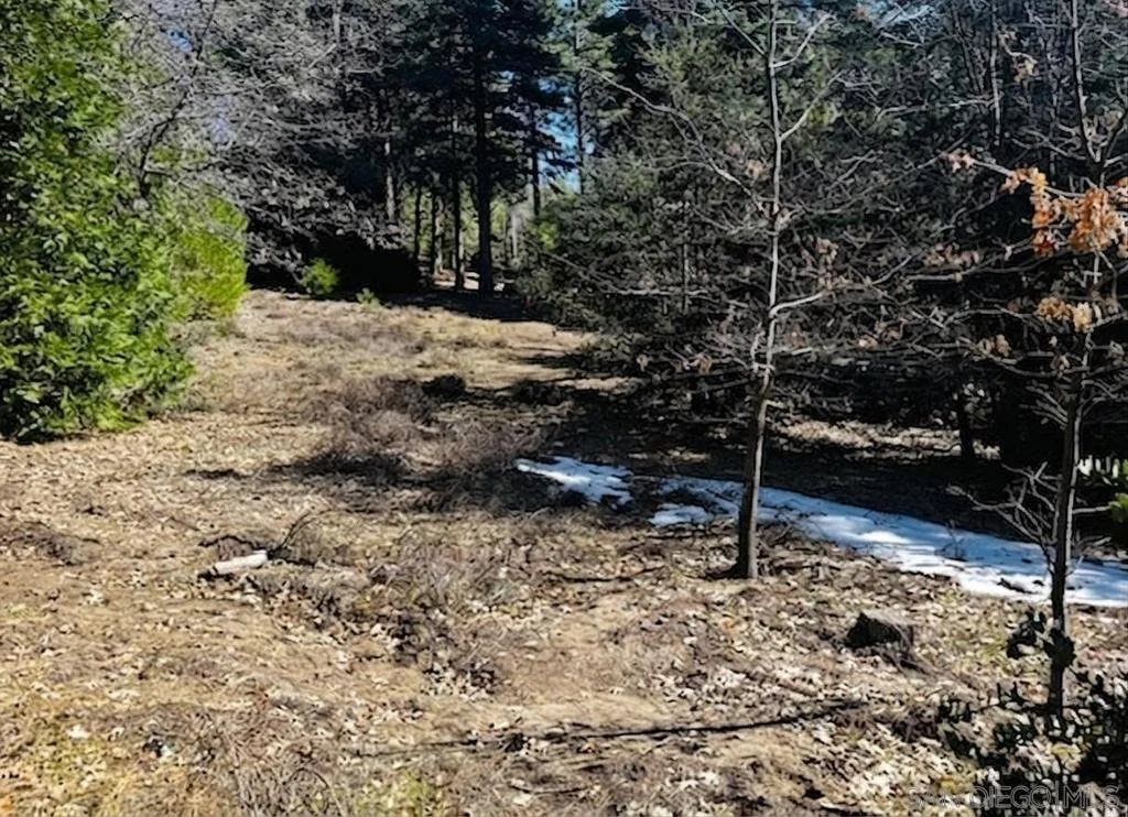 Photo of 0 Laurel Trail