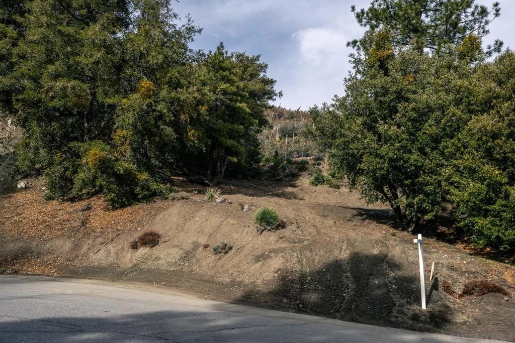 Photo of 0 Timberline Dr