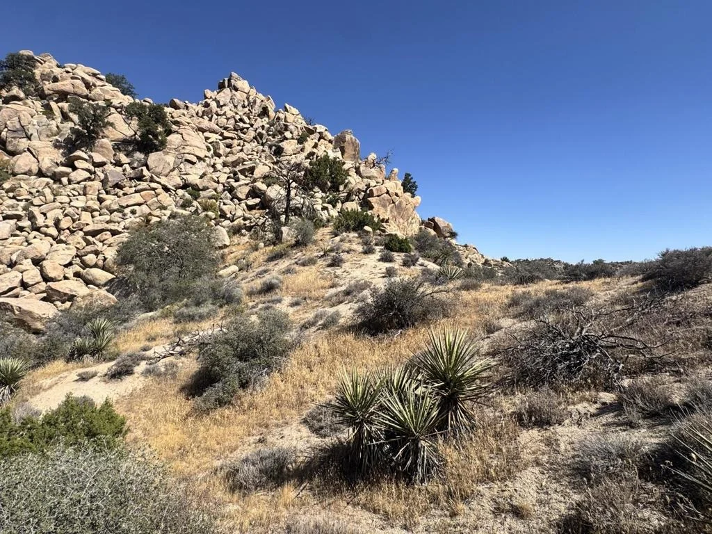 Photo of 5990 Acoma Trail