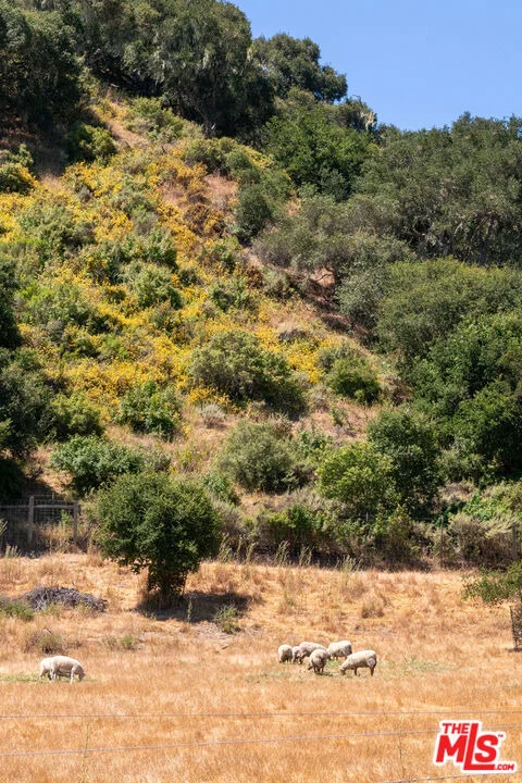 Photo of 8630 Santa Rosa Road