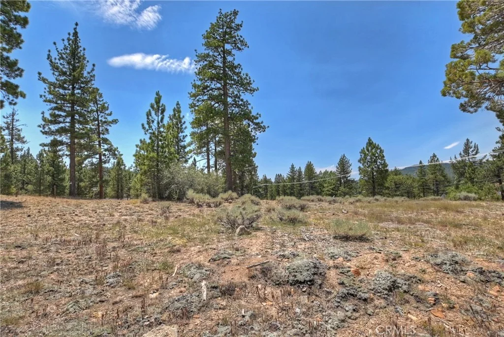 Photo of 39799 Big Bear Boulevard