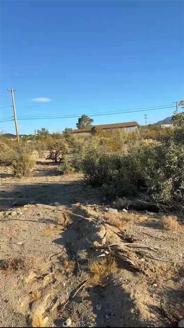 Photo of 1 Baseline
