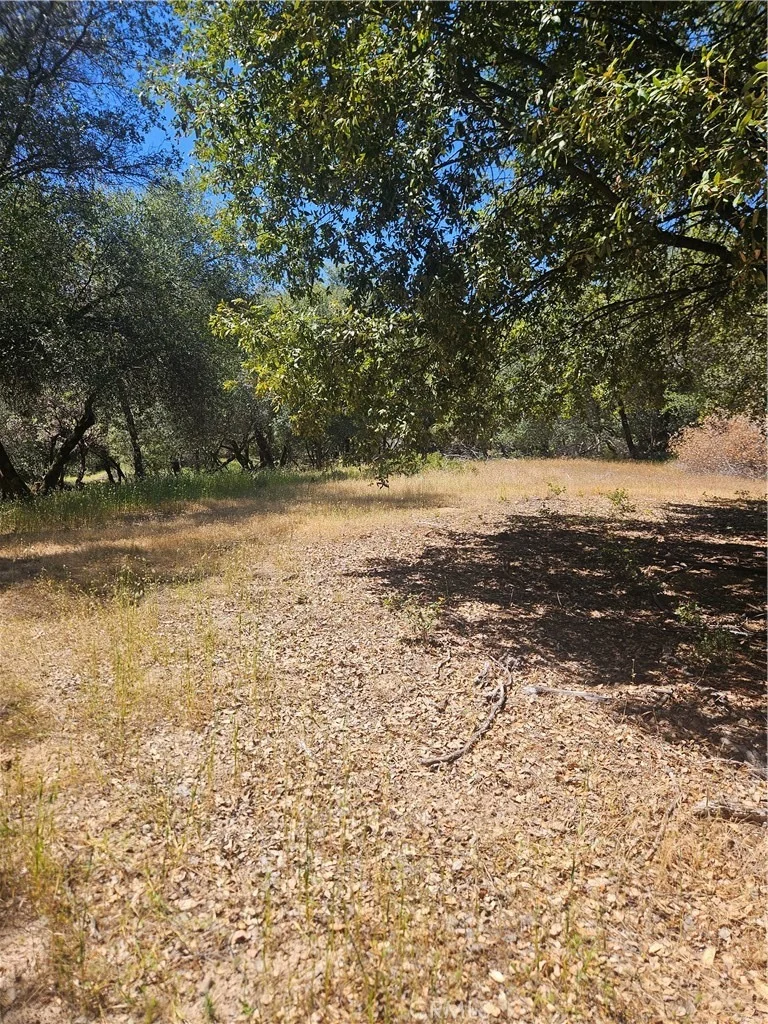 Photo of 1371 Moccasin Trail
