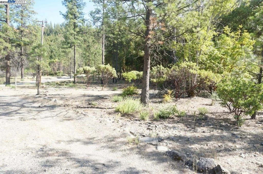 Photo of 101 River Acres